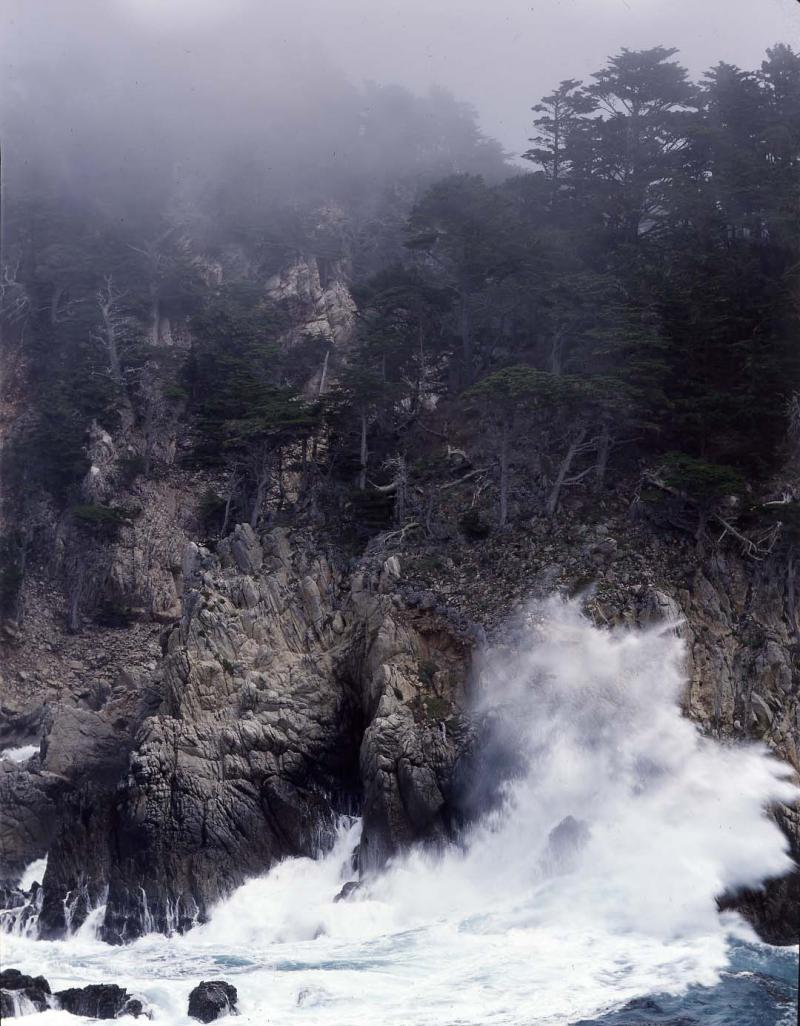 headlands, Pt. Lobos