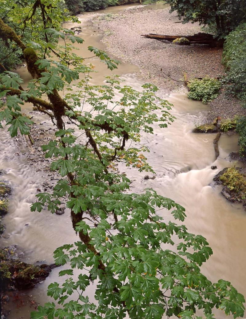 Mill Creek, California