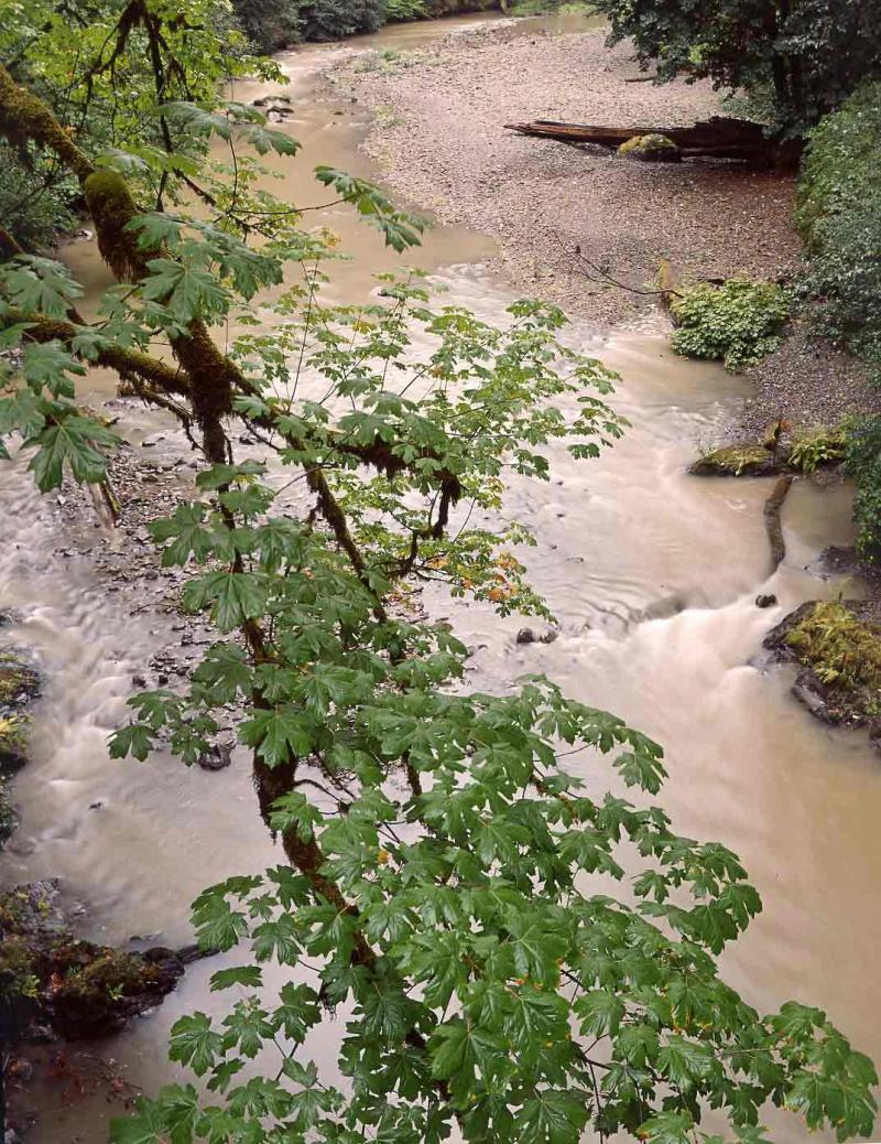 Mill Creek, California 1965