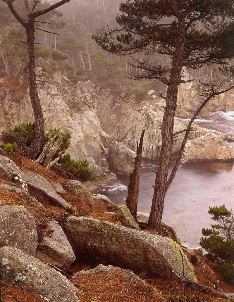 north shore in drizzle, Pt. Lobos, 1975