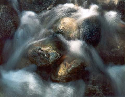 water and reeds, Big Sur, 1967