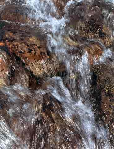 springwater, Oregon, 1966