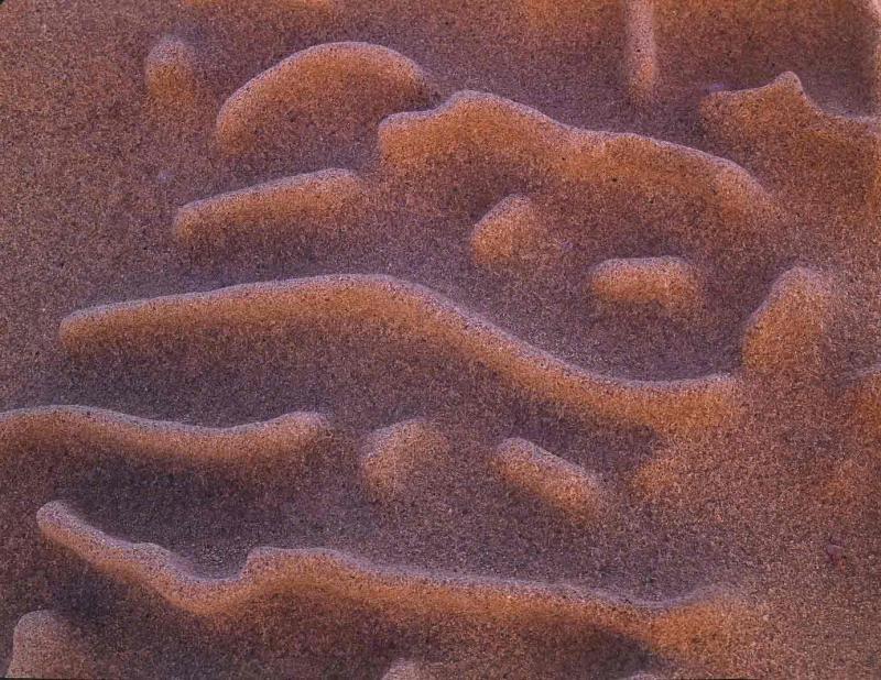 wind-eroded sandstone, Pt. Lobos, 1975